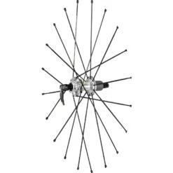 Mavic Zicral Speichen 273,5 Mm Für Ksyrium Pro Disc 2015 Hinterräder - Antriebsseite (10 Stück) - V2270501 - Schwarz