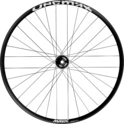 Mavic Deemax Park Vorderrad - 26" | Clincher | 6-Loch - 20x110mm Boost