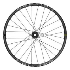 Mavic Deemax 29' 21 Disc IS-6 Bolt Vorderrad