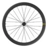 Mavic Cosmic SL 45 Hinterrad Für Tubeless Disc Center Lock