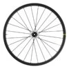 Mavic Allroad Pro Carbon SL Road Hinterrad Für Tubeless Disc Center Lock Kern SRAM-XDR