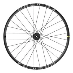 Mavic Deemax 29' 21 Disc IS-6 Bolt Hinterrad 12x148mm BOOST Steckachse