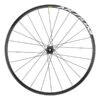 Hinterrad Mavic Aksium Disc 19